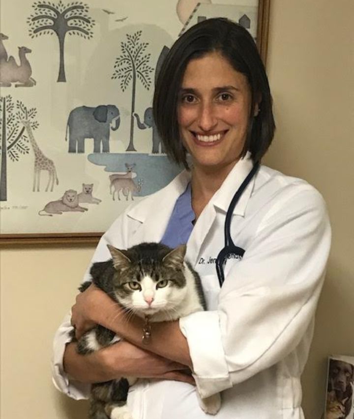 Dr. Jennifer Wendt, DVM