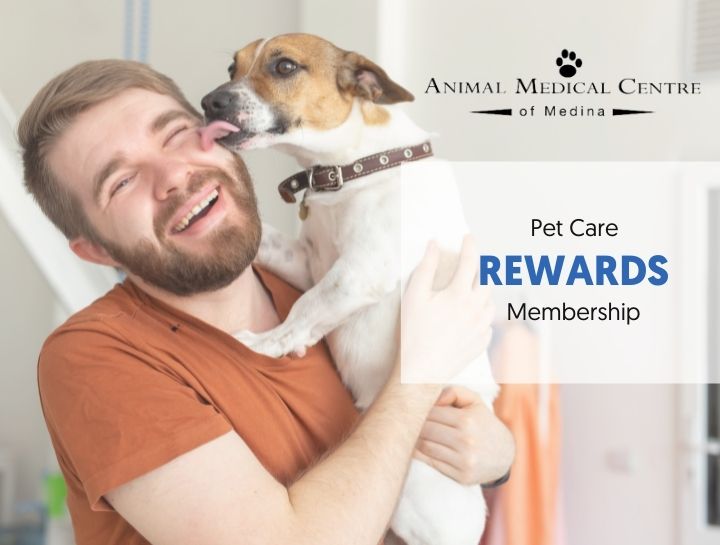Animal Medical Centre of Medina Rewards Program