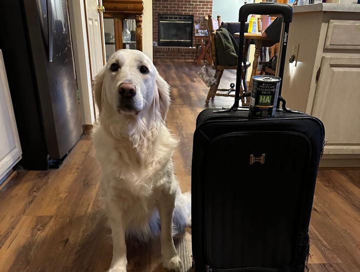 USDA Certified Veterinarian