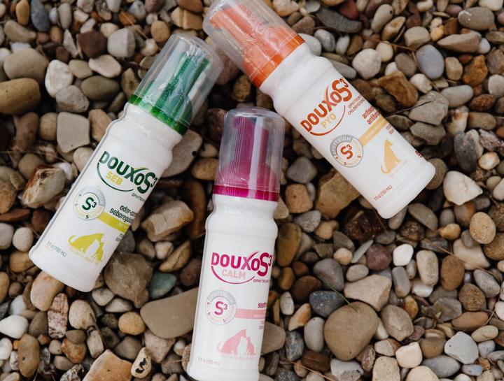 Allergy & Dermatology Services